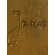 Okładka książki Janos Józef z Dymbna