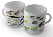 Opakowanie Kubek - Płazy SOLITON