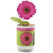 Opakowanie Kwiatek w puszce Gerber