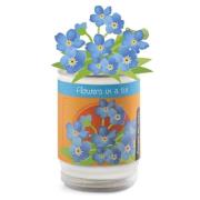 Opakowanie Kwiatek w puszce Niezapominajka