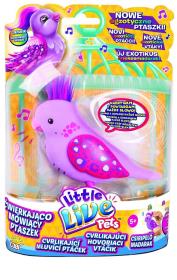 Opakowanie Little Live Pets. Ptaszki zestaw podst.różne rodz.