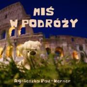 Okładka książki Miś w podróży