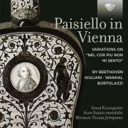 Paisiello In Vienna A Variations on “Nel cor piu non mi sento” by Beethoven, Giuliani, Wanhal, Bortola. Wydawca: Brilliant Classics. Dadada.pl Opakowanie Paisiello In Vienna A Variations on “Nel cor piu non mi sento” by Beethoven, Giuliani, Wanhal, Bortola