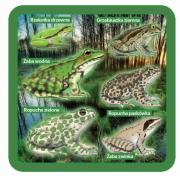 Opakowanie Podkładki pod kubek z płazami, zestaw 2szt