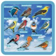 Opakowanie Podkładki pod kubek z ptakami, zestaw 2szt