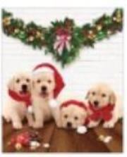 Opakowanie Torba prezentowa 26x32