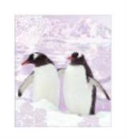 Opakowanie Torebka prezentowa 18x23