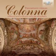 Triumphate Fideles Complete Motets For Solo Voice And Instruments. Wydawca: Brilliant Classics. Dadada.pl Opakowanie Triumphate Fideles Complete Motets For Solo Voice And Instruments