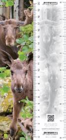 Zakładka 3D - Łoś. Wydawca: Worth Keeping. Dadada.pl Opakowanie Zakładka 3D - Łoś