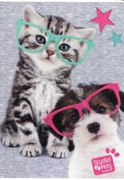 Zeszyt A5 Studio Pets w linie 32 kartki. Wydawca: Paso. Dadada.pl Opakowanie Zeszyt A5 Studio Pets w linie 32 kartki
