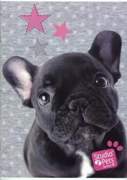 Zeszyt A5 Studio Pets w linie 32 kartki. Wydawca: Paso. Dadada.pl Opakowanie Zeszyt A5 Studio Pets w linie 32 kartki