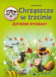 Chrząszcze w Trzcinie Językowe wygibasy. Autor: Paszkiewicz Anna. Dadada.pl Okładka książki Chrząszcze w Trzcinie Językowe wygibasy