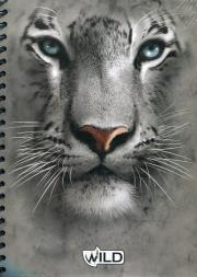 Opakowanie Kołobrulion A4 w kratkę 100 kartek z perforacją i kolorowymi registrami Wild tygrys