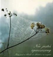 Okładka książki Nie jesteś opuszczony