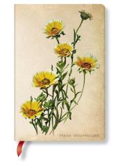 Opakowanie Notatnik Woodland Daisies Mini linia