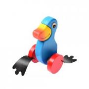 Opakowanie Pchacz duży Kaczka niebieska