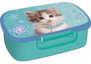 Okładka książki Pojemnik na śniadanie Kot