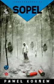 Okładka książki Przygranicze T.1 Sopel