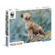 Opakowanie Puzzle 250 WWF Wilk