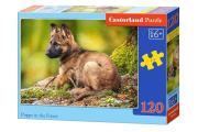 Opakowanie Puzzle Puppy in the Forest 120