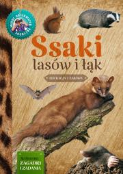 Ssaki lasów i łąk Młody Obserwator Przyrody. Autor: Wilamowska Małgorzata. Dadada.pl Okładka książki Ssaki lasów i łąk Młody Obserwator Przyrody
