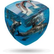 Opakowanie V-cube 3 Delfiny (2x2x2) wyprofilowana