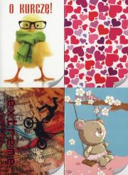 Opakowanie Zeszyt A5 w linie 32 kartki 20 sztuk mix