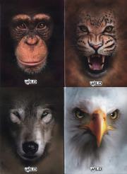 Opakowanie Zeszyt A5 Wild w kratkę 60 kartek 5 sztuk mix