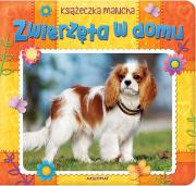 Zwierzęta w domu. Książeczka malucha. Autor: Opracowanie zbiorowe. Dadada.pl Okładka książki Zwierzęta w domu. Książeczka malucha
