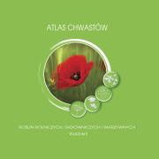 Atlas chwastów roślin rolniczych, sadowniczych i warzywniczych. Autor: Adam Paradowski. Dadada.pl Okładka książki Atlas chwastów roślin rolniczych, sadowniczych i warzywniczych