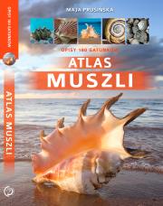 Atlas muszli. Autor: Maja Prusińska. Dadada.pl Okładka książki Atlas muszli