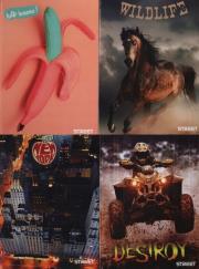 Opakowanie Brulion A5 Street w kartkę 96 kartek 6 sztuk mix