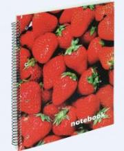 Opakowanie Jorvik + Polowanie na skrzaty za 1 zł HOBBITY