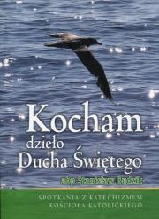 Kocham dzieło Ducha Świętego. Autor: Budzik Stanisław. Dadada.pl Okładka książki Kocham dzieło Ducha Świętego