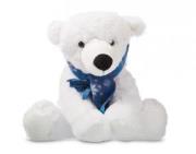 Opakowanie Miś Polariusz z szalem 25 cm