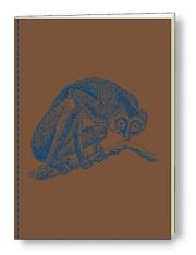 Opakowanie Notatnik ozdobny A5 64 kartki BR NB S10A