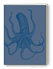 Opakowanie Notatnik ozdobny A5 64 kartki BR NB S13A