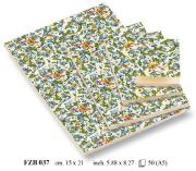 Okładka książki Notes ozdobny A5 50 kartek BR FZB 037