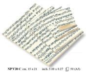 Okładka książki Notes ozdobny A5 BR 50 kartek NP V20C