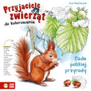 Przyjaciele zwierząt do kolorowania Cuda polskiej przyrody. Autor: Aneta Maja Kryszak. Dadada.pl Okładka książki Przyjaciele zwierząt do kolorowania Cuda polskiej przyrody