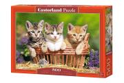 Opakowanie Puzzle three Lovely kittens 500
