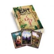 Zdjęcie produktu Runy magia i moc - książka + karty