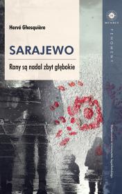 Sarajewo Rany są nadal zbyt głębokie. Autor: Herv Ghesquiere. Dadada.pl Okładka książki Sarajewo Rany są nadal zbyt głębokie