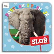 Okładka książki SŁOŃ - Dotykam i Poznaję