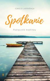 Spotkanie. Autor: Ignatio Larranaga. Dadada.pl Okładka książki Spotkanie