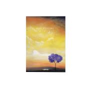 Opakowanie Szkicownik B5/72 żółty