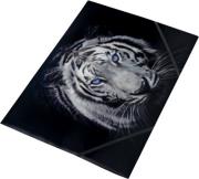 Opakowanie Tiger teczka na gumkę z nadrukiem A4 pp