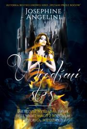 Okładka książki Wiedźmi stos