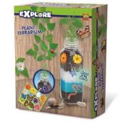 Opakowanie Explore Roślinka w terrarium
