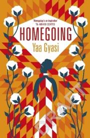 Homegoing. Autor: Yaa Gyasi. Dadada.pl Okładka książki Homegoing